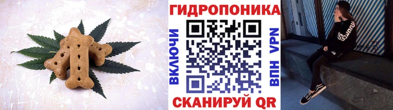 Купить где  Каменск-Шахтинский  Canna-Cookies марихуана 