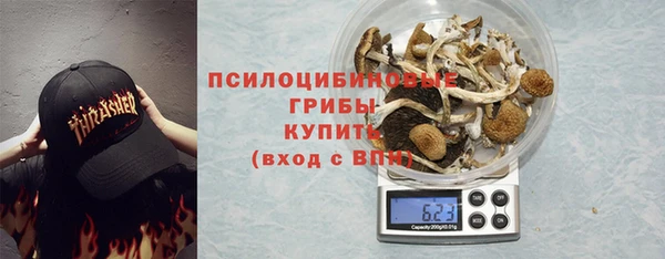 прущая мука Каменногорск