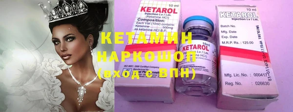 шишки Каменка