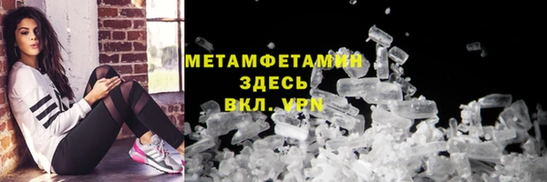 шишки Каменка