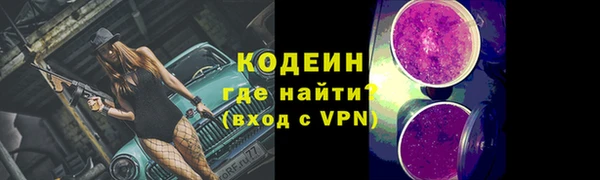 шишки Каменка