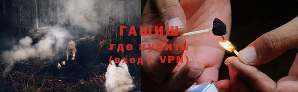 шишки Каменка