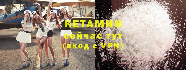 шишки Каменка