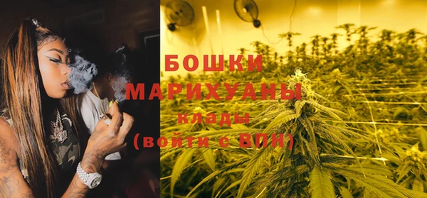 шишки Каменка