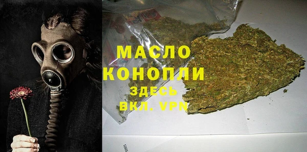 шишки Каменка