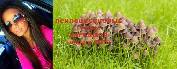 прущая мука Каменногорск