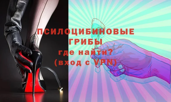 шишки Каменка