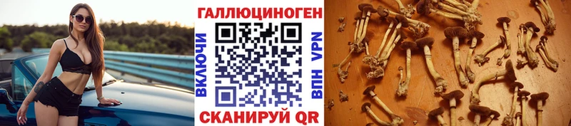 Псилоцибиновые грибы мицелий  Купить  Каменск-Шахтинский 