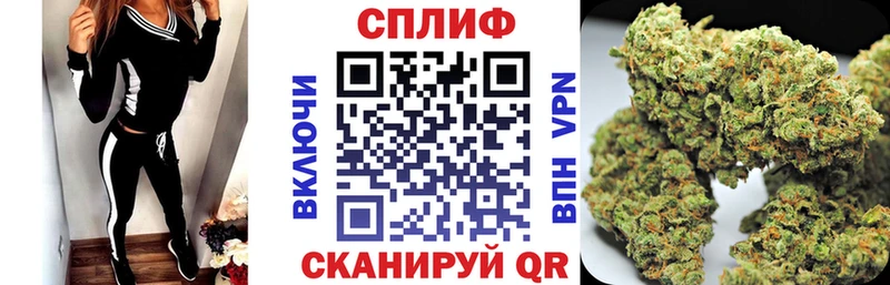 Купить закладки Каменск-Шахтинский Конопля сатива